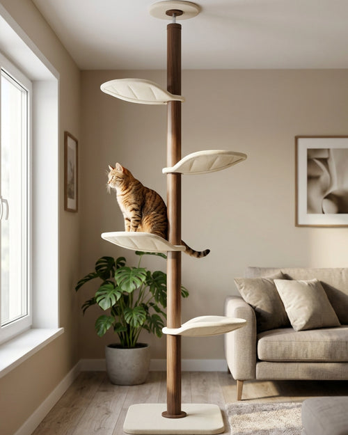 Briw Floor-to-Ceiling Cat Tower 228-275 cm Walnut Cream - Lifestyle view